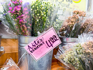 trader-joes-floral-25