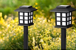 Solar Torch Lights 16-Pack, Just $23.99 on Amazon (Reg. $59.99) card image