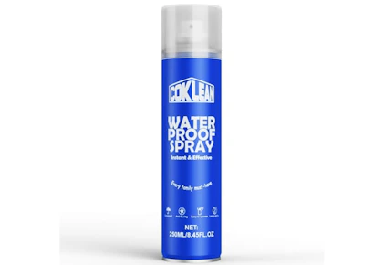 Shoe Protector Spray