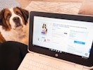 A person's lap with a laptop displaying the PetSmart webpage where they are placing an online order with a dog sitting on the floor ...