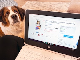 A person's lap with a laptop displaying the PetSmart webpage where they are placing an online order with a dog sitting on the floor ...