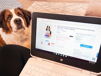 A person's lap with a laptop displaying the PetSmart webpage where they are placing an online order with a dog sitting on the floor ...