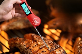 digital-food-thermometer-amazon-