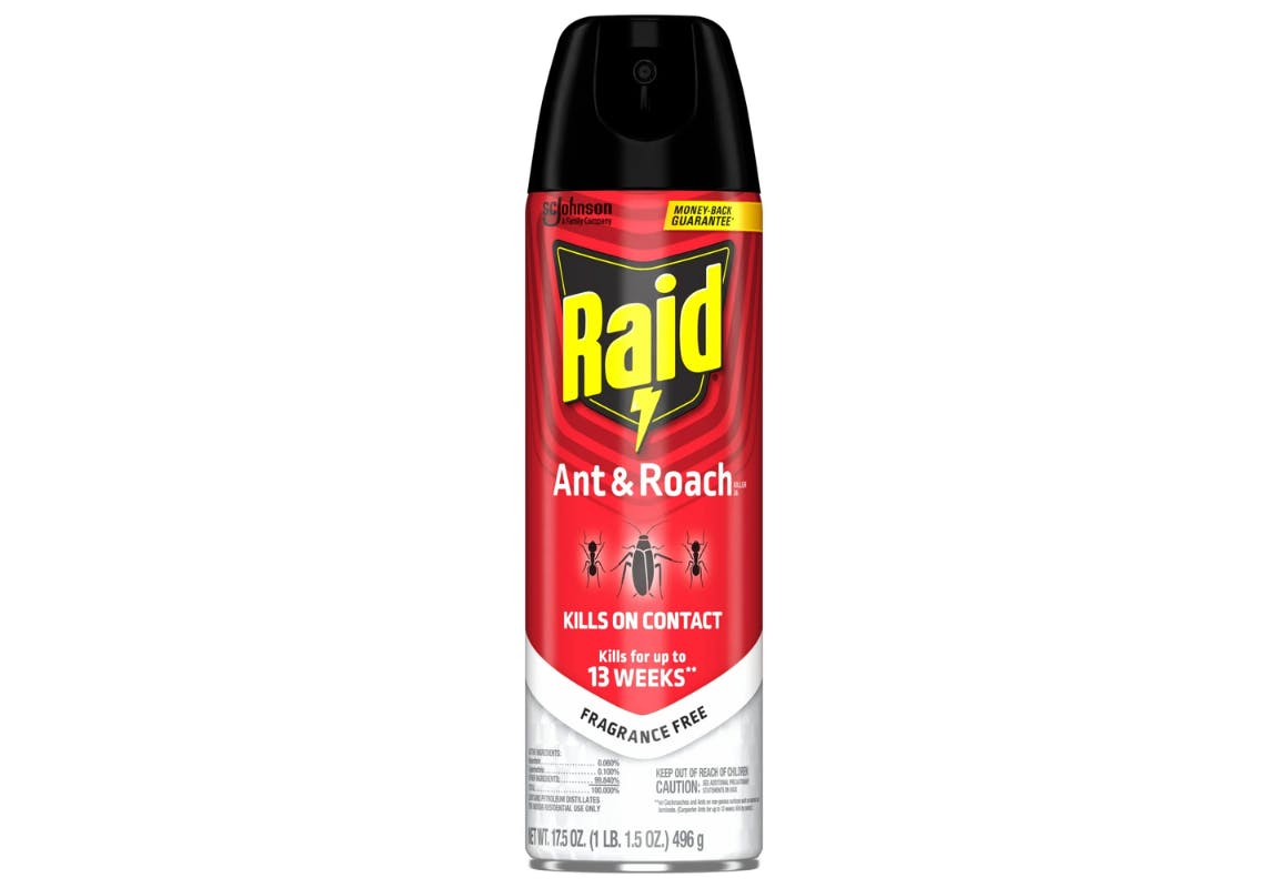 Raid Ant & Roach Insect Killer