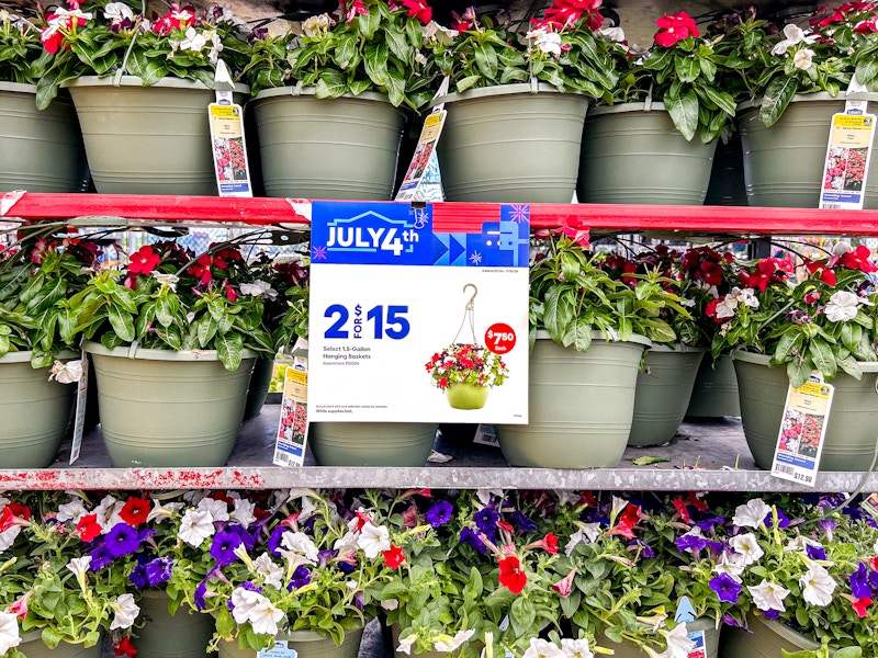 lowes-july-4th-hanging-basket-sale-2024-kcl