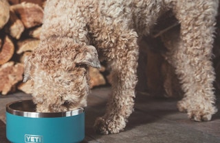 screen shot 2021 05 17 at 82554 am 1621265175 1621265175