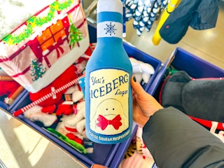 petco-clearance-larger-rubber-dog-toy