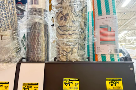Hampton Bay Indoor/Outdoor Area Rug