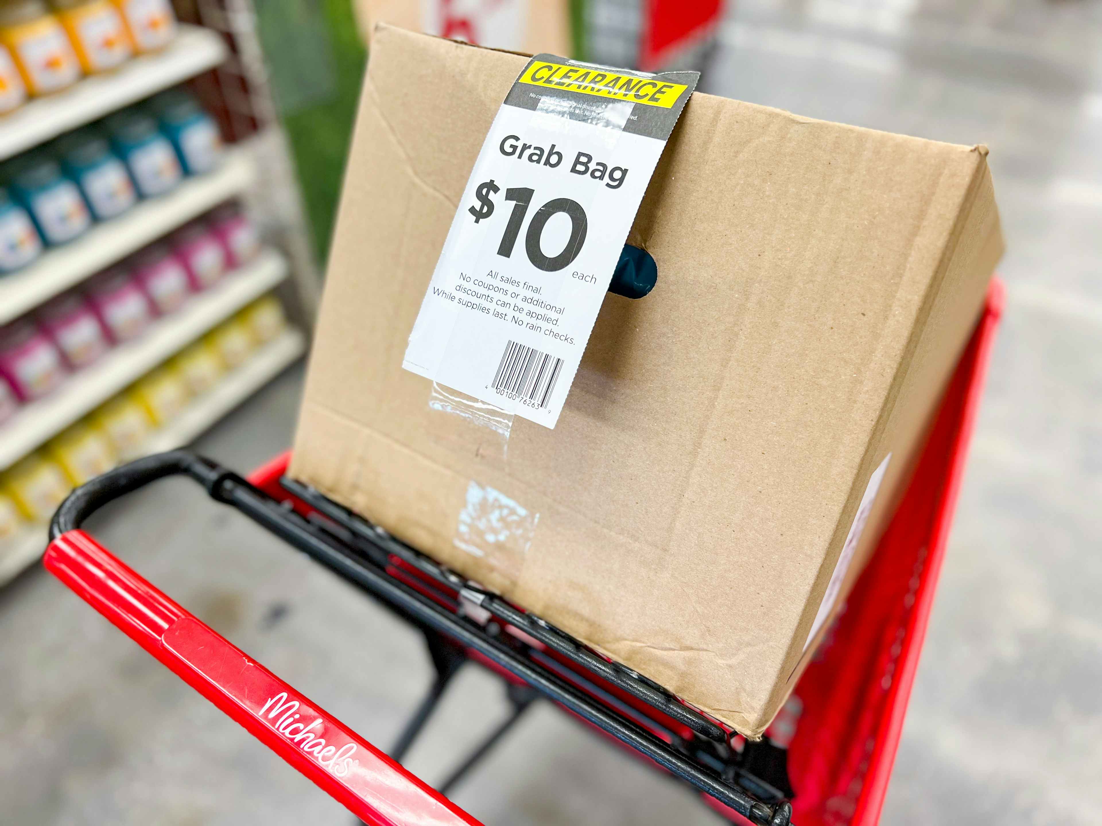 Michaels Grab Bags Are 10 Bucks a Pop — Are They Worth It? (We Think So