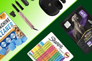 amazon presidents day sale