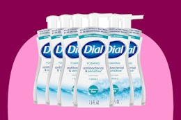 Dial Antibacterial Foaming Hand Soap 
