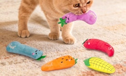 a cat with vegetable plush cat toys