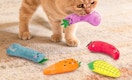 a cat with vegetable plush cat toys
