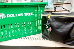 Large Cosmetic Bag, Only $1.25 at Dollar Tree card image