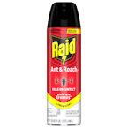 Raid Bug Spray