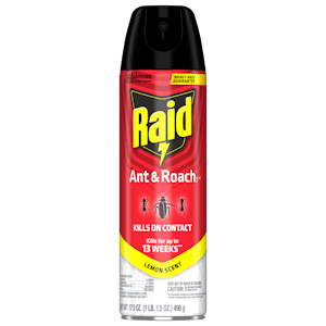 Raid Bug Spray