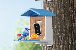 This Smart Bird Feeder Just Dropped to $59.99 on Amazon card image