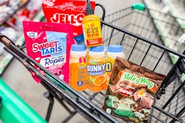 groceries in a dollar tree shopping cart