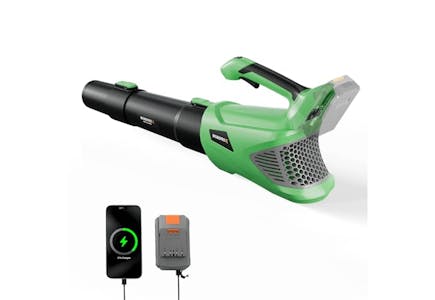 Cordless Leaf Blower