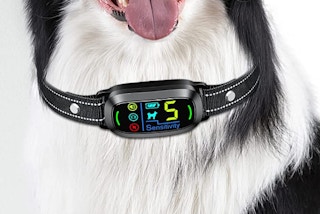 amazon bark collarjpg 1683046284 1683046284