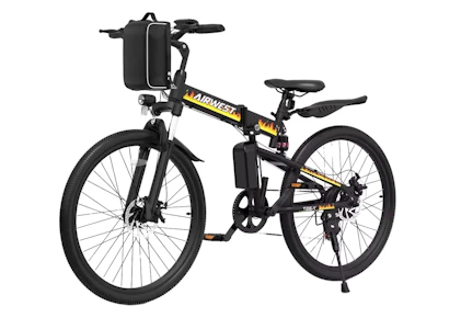 Adult Electric Bike