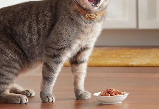 amazon-meow-mix-cans-2024-2