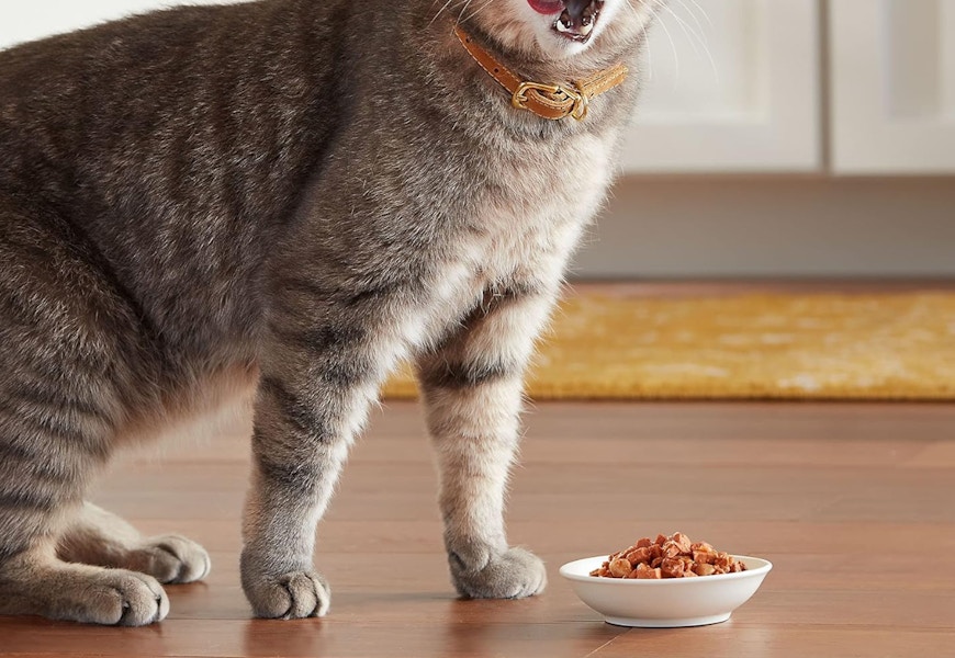 amazon-meow-mix-cans-2024-2