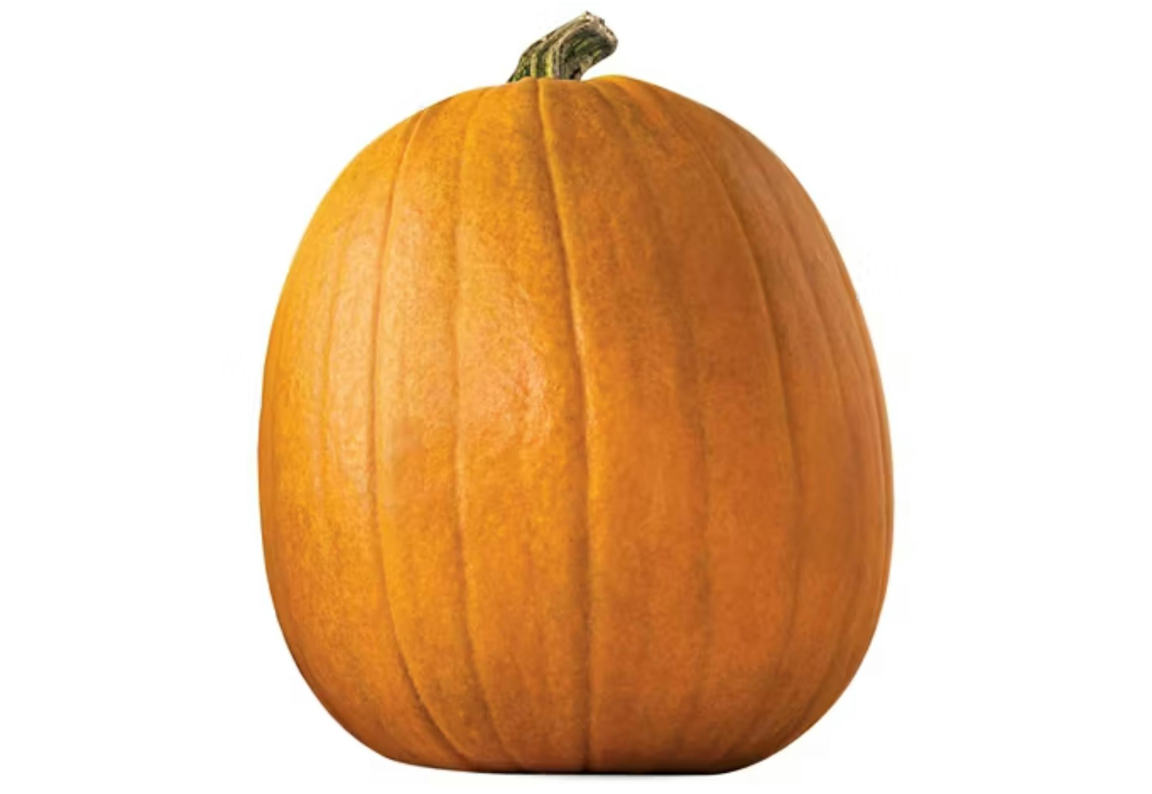 Pumpkin