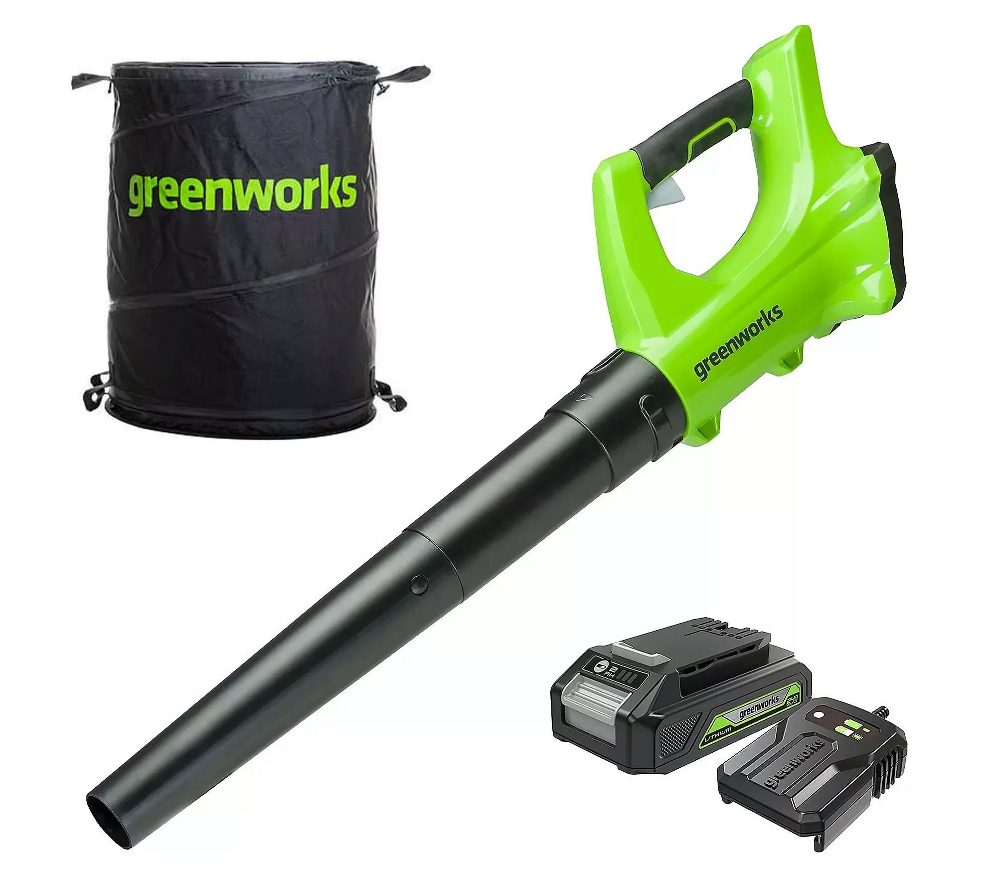 Greenworks Leaf Blower Kit