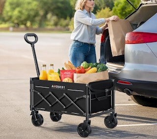 a person putting groceries in a wagon from their car