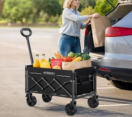 a person putting groceries in a wagon from their car