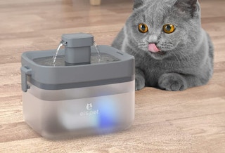 amazon cat water fountianjpg 1682773688 1682773688