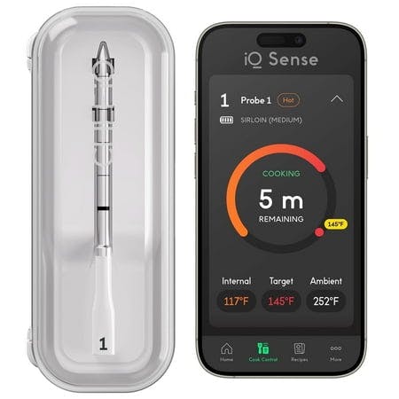 Smart Wireless Thermometer