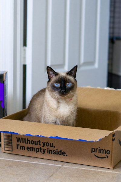 amazon-pet-days-prime-box-cat-kitty-pet-deals-litter-food-toys-artemis-kcl-1-vertical