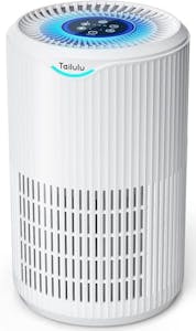 Large Room Air Purifier