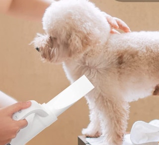 pet-dryer-amazon-feature-image