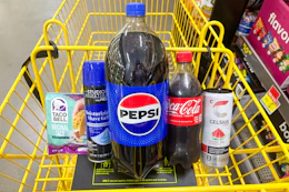 dollar general groceries in shopping cart
