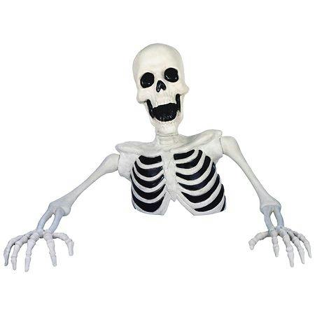 Groundbreaker Skeleton