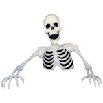 Groundbreaker Skeleton