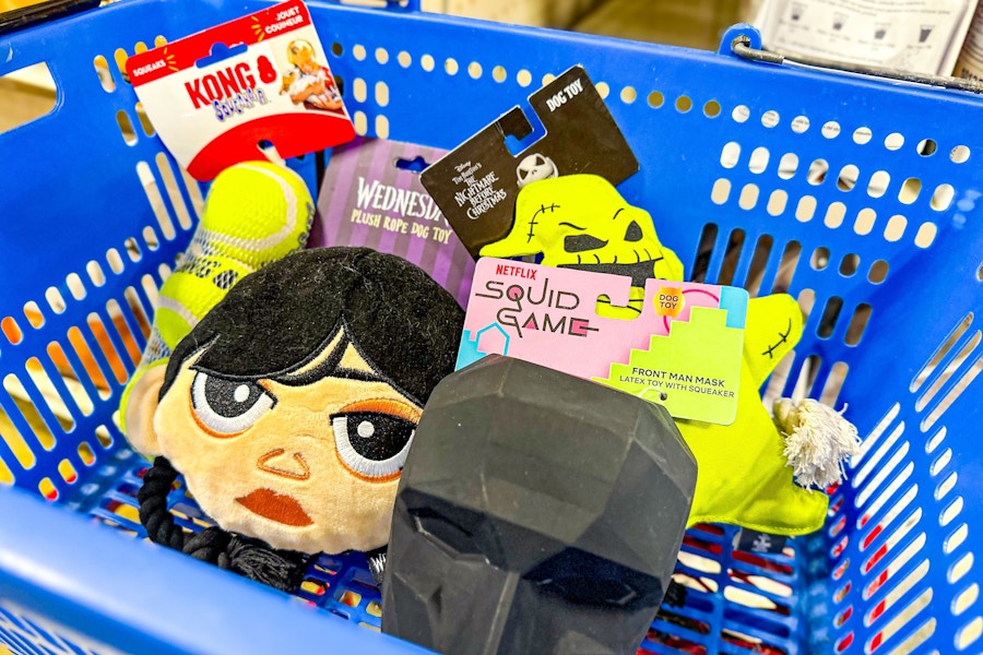 dog toys in a blue basket