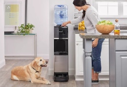 Primo Deluxe Water Dispenser With Pet Station, $94.99 at Target (Reg. $209) card image