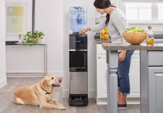 woman standing in front of a water dispenser with a dog laying in front