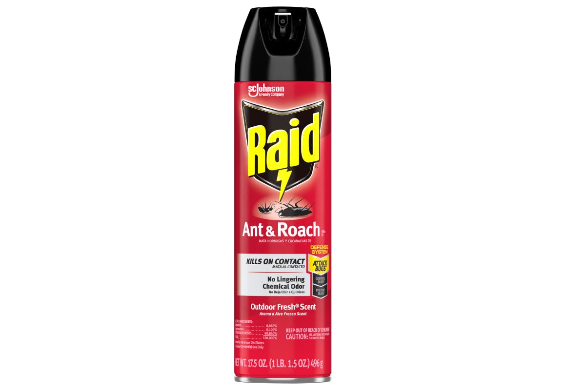 Raid Bug Spray