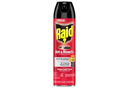 Raid Bug Spray