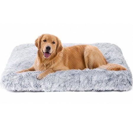 Plush Dog Bed