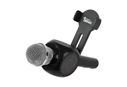 Karaoke Microphone