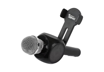Karaoke Microphone