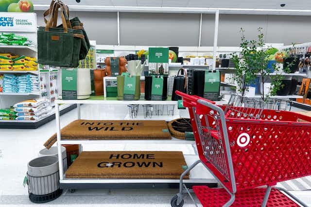 Hilton Carter for Target 50% Off Sale: Doormats, Planters, and More card image