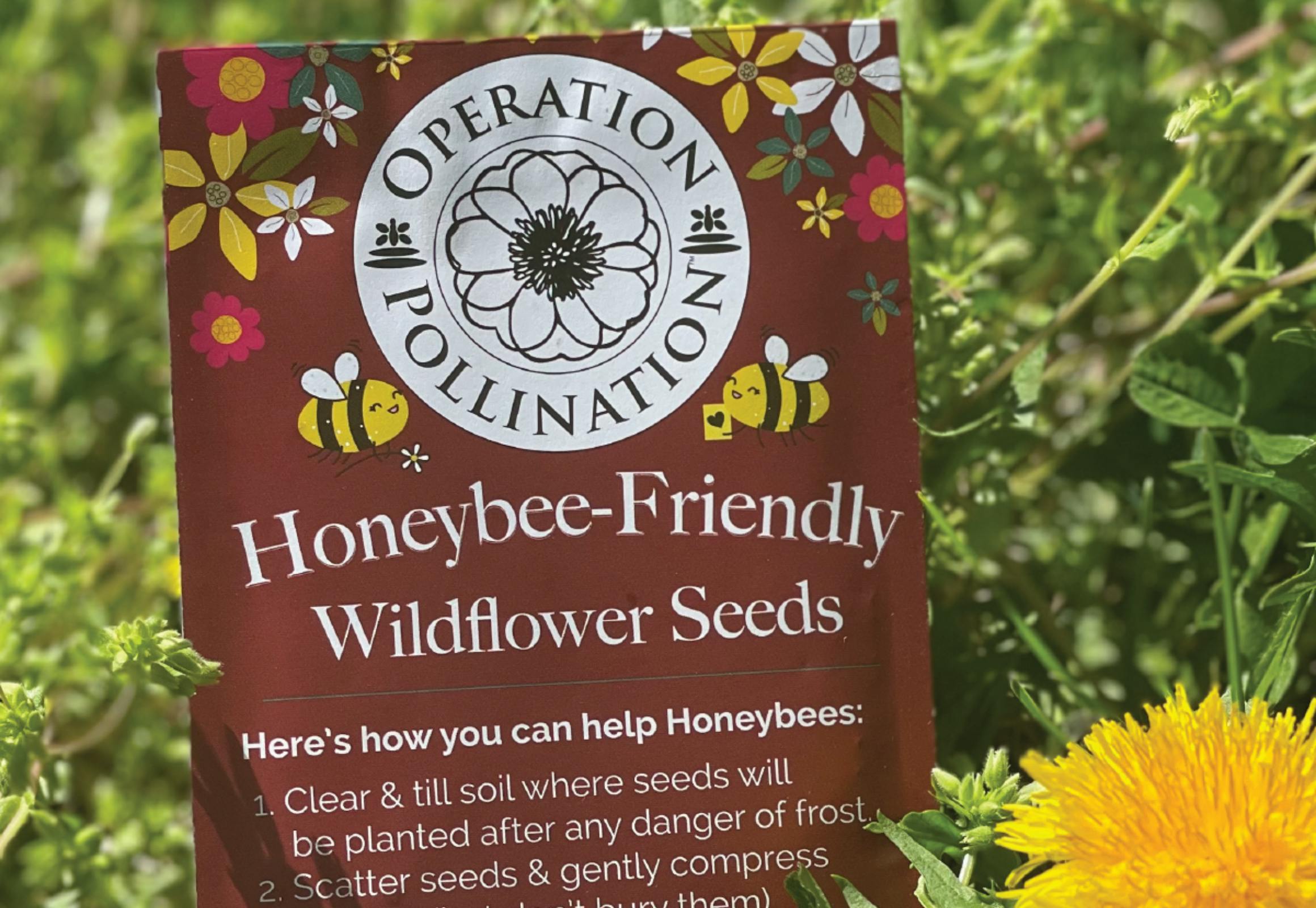 Free Pollinator Seed Packet