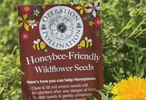 Free Pollinator Seed Packet